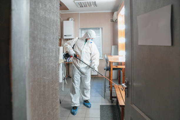 Best Crawl Space Mold Remediation  in South River, NJ