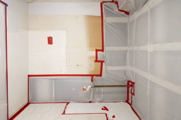 Best Air Quality Testing for Mold Spores  in South River, NJ