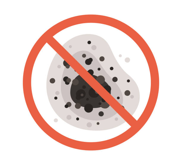 Best Mold Remediation for Healthcare Facilities  in South River, NJ