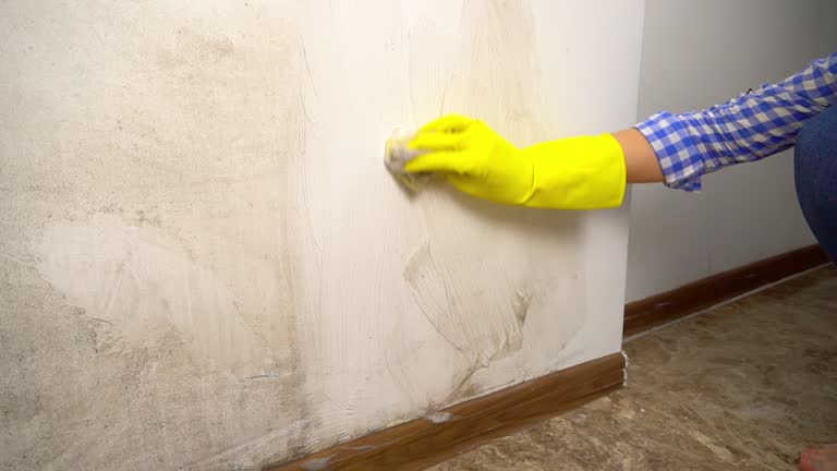 Best Dehumidification Services  in South River, NJ