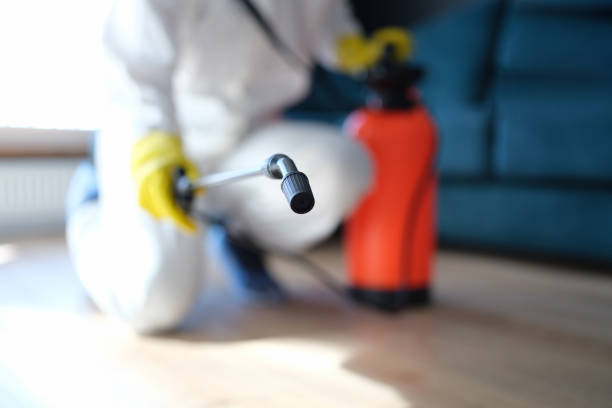 Best Post-Remediation Verification Testing  in South River, NJ
