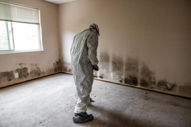 Best HVAC Mold Inspection and Cleaning  in South River, NJ