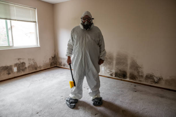 Best Crawl Space Mold Remediation  in South River, NJ