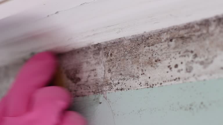 Best Residential Mold Inspection & Testing  in South River, NJ